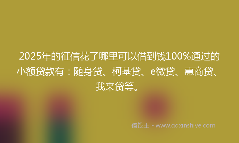 2025年的征信花了哪里可以借到钱100%通过的小额贷款有：随身贷、柯基贷、e微贷、惠商贷、我来贷等。