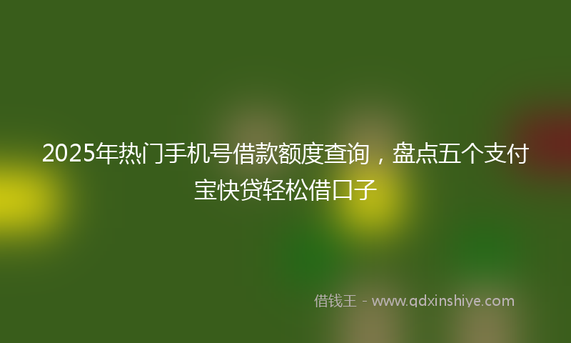 2025年热门手机号借款额度查询，盘点五个支付宝快贷轻松借口子