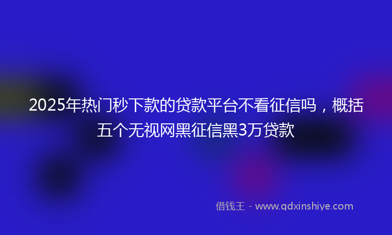 2025年热门秒下款的贷款平台不看征信吗，概括五个无视网黑征信黑3万贷款
