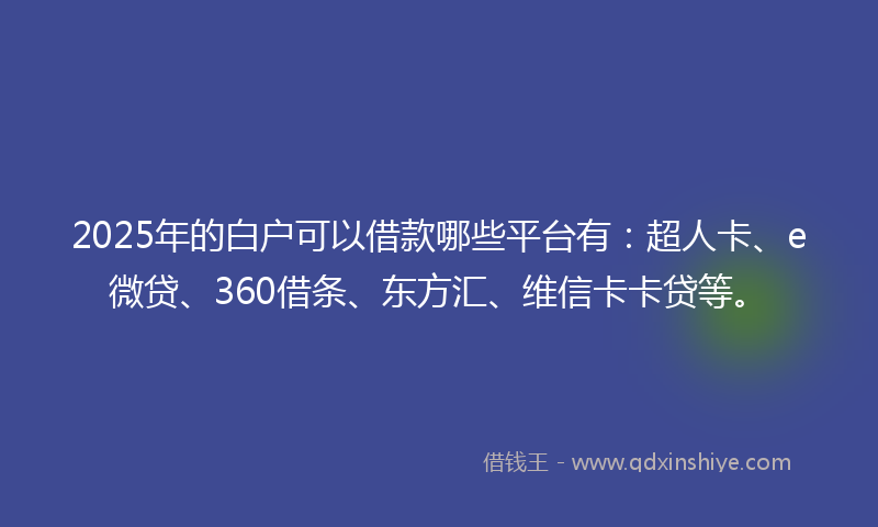 2025年的白户可以借款哪些平台有：超人卡、e微贷、360借条、东方汇、维信卡卡贷等。
