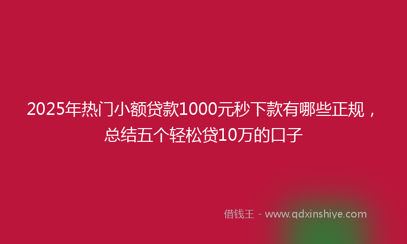 2025年热门小额贷款1000元秒下款有哪些正规，总结五个轻松贷10万的口子