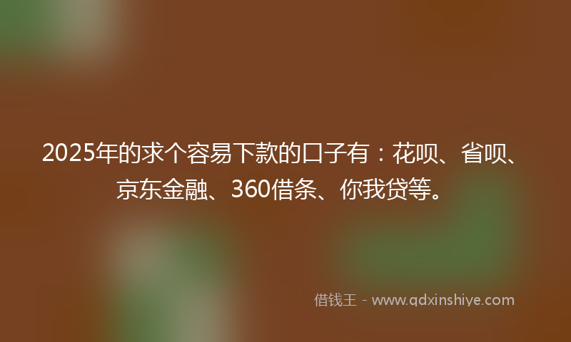 2025年的求个容易下款的口子有：花呗、省呗、京东金融、360借条、你我贷等。