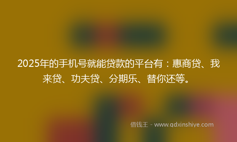 2025年的手机号就能贷款的平台有：惠商贷、我来贷、功夫贷、分期乐、替你还等。