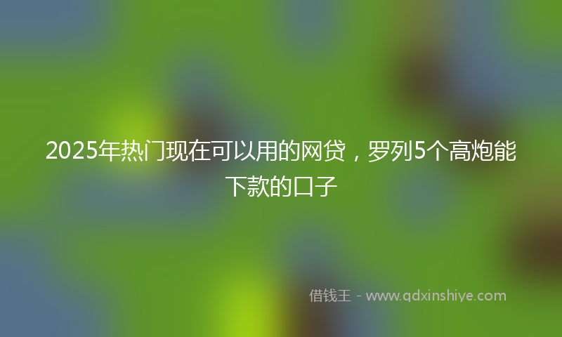 2025年热门现在可以用的网贷，罗列5个高炮能下款的口子