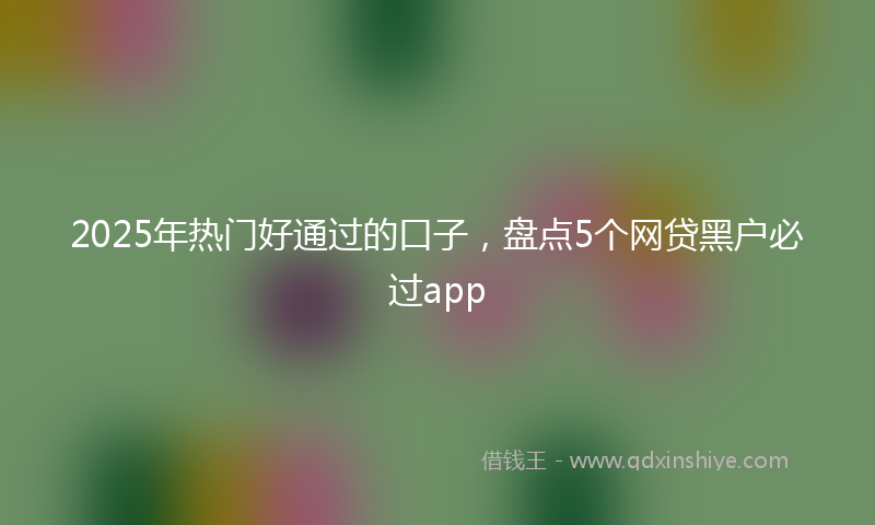 2025年热门好通过的口子，盘点5个网贷黑户必过app