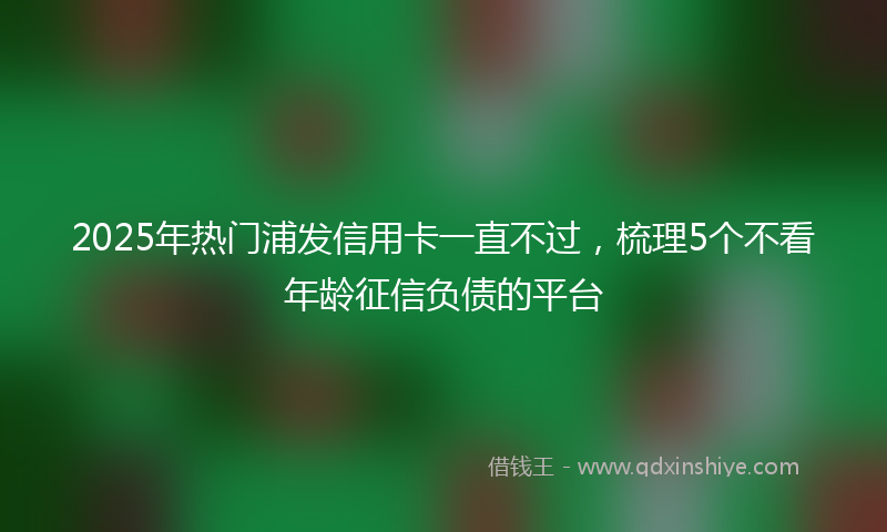 2025年热门浦发信用卡一直不过，梳理5个不看年龄征信负债的平台