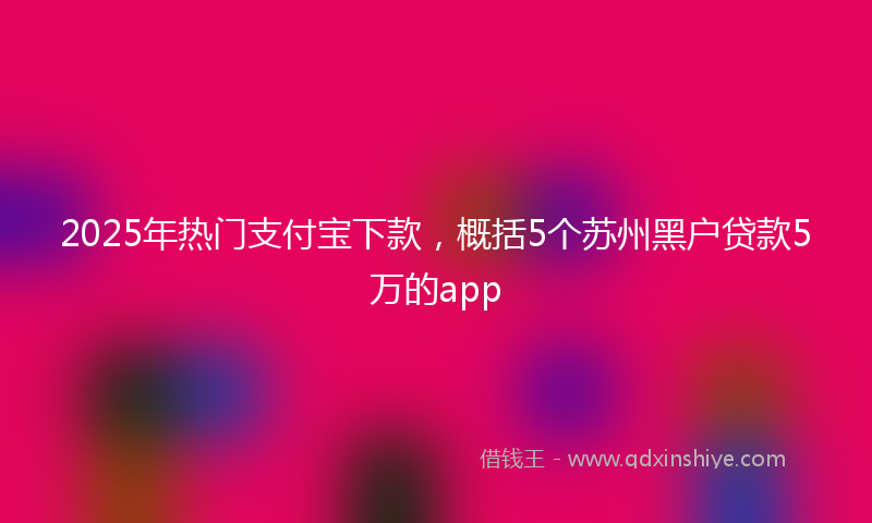2025年热门支付宝下款，概括5个苏州黑户贷款5万的app