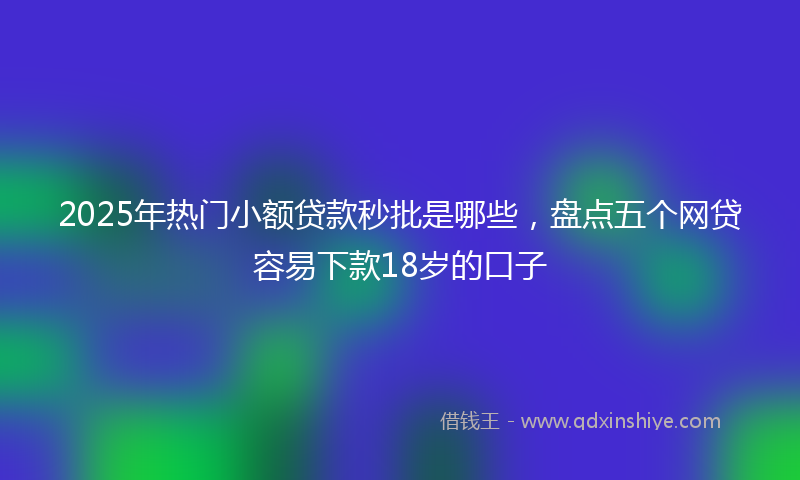 2025年热门小额贷款秒批是哪些，盘点五个网贷容易下款18岁的口子