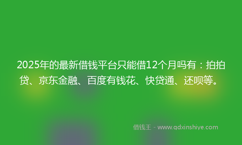 2025年的最新借钱平台只能借12个月吗有：拍拍贷、京东金融、百度有钱花、快贷通、还呗等。