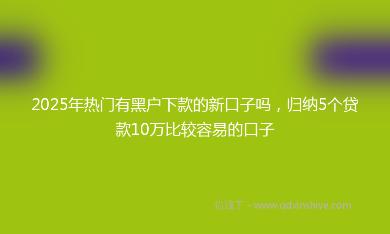 2025年热门有黑户下款的新口子吗，归纳5个贷款10万比较容易的口子