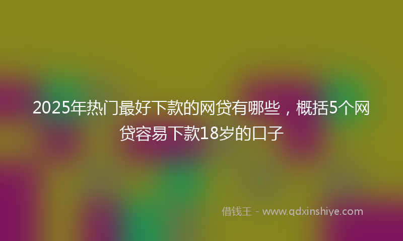 2025年热门最好下款的网贷有哪些，概括5个网贷容易下款18岁的口子