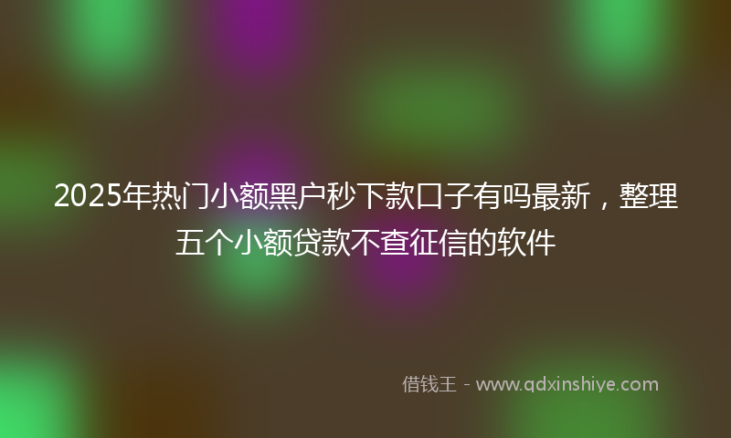 2025年热门小额黑户秒下款口子有吗最新，整理五个小额贷款不查征信的软件