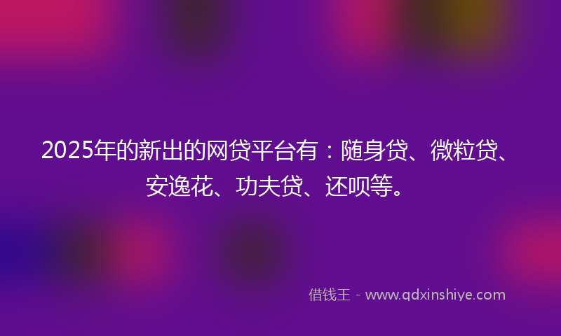 2025年的新出的网贷平台有：随身贷、微粒贷、安逸花、功夫贷、还呗等。