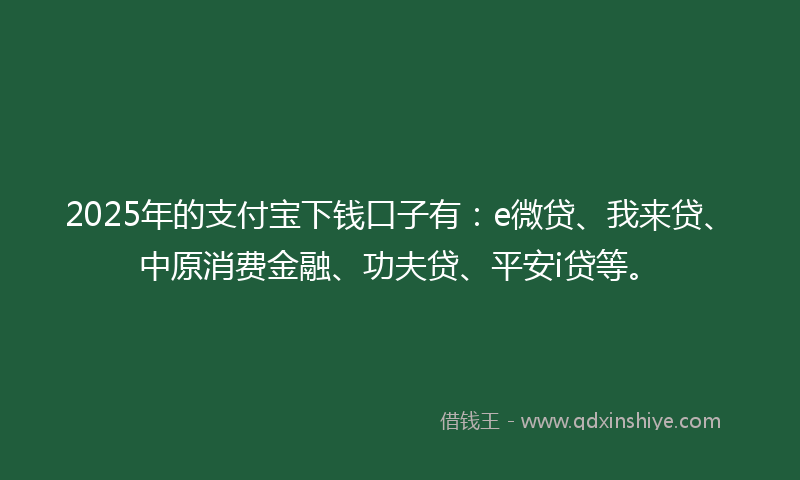2025年的支付宝下钱口子有：e微贷、我来贷、中原消费金融、功夫贷、平安i贷等。