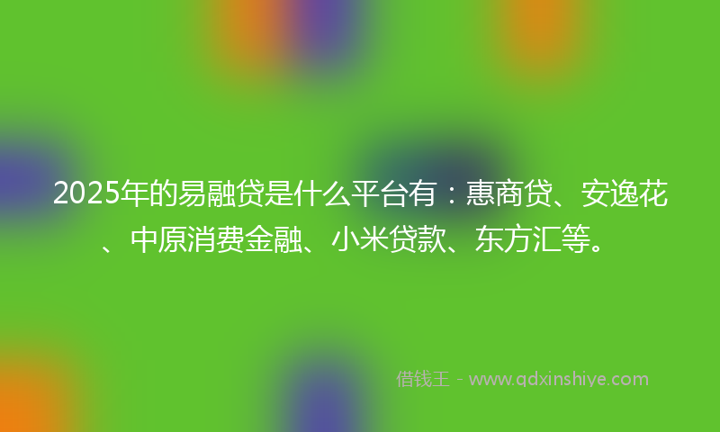 2025年的易融贷是什么平台有：惠商贷、安逸花、中原消费金融、小米贷款、东方汇等。