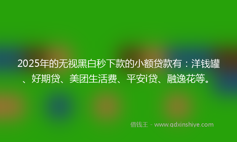 2025年的无视黑白秒下款的小额贷款有：洋钱罐、好期贷、美团生活费、平安i贷、融逸花等。