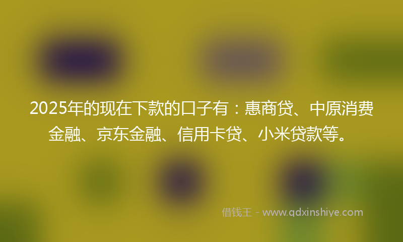 2025年的现在下款的口子有：惠商贷、中原消费金融、京东金融、信用卡贷、小米贷款等。