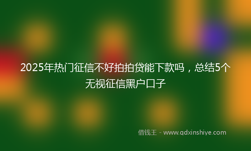 2025年热门征信不好拍拍贷能下款吗，总结5个无视征信黑户口子