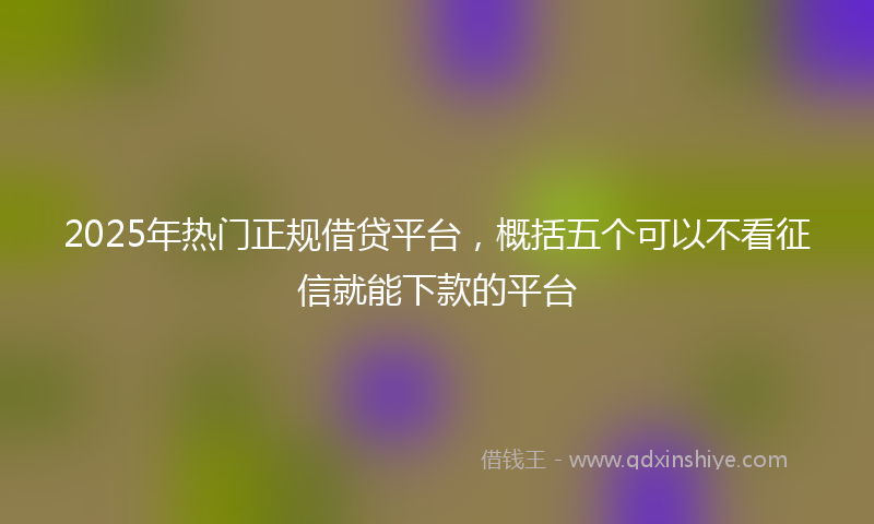 2025年热门正规借贷平台，概括五个可以不看征信就能下款的平台