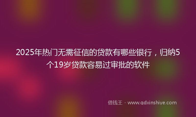 2025年热门无需征信的贷款有哪些银行，归纳5个19岁贷款容易过审批的软件