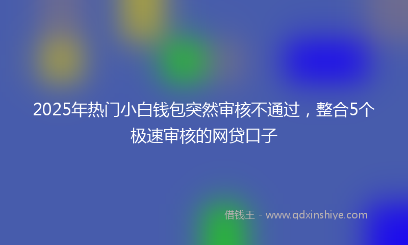 2025年热门小白钱包突然审核不通过，整合5个极速审核的网贷口子