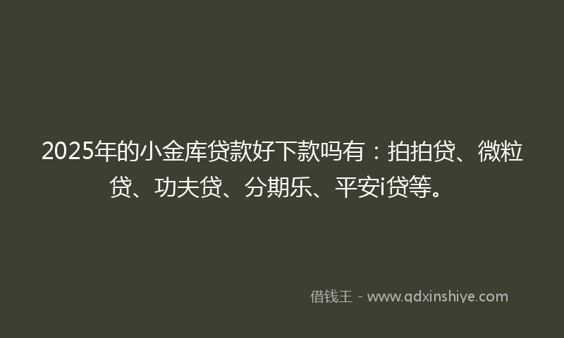 2025年的小金库贷款好下款吗有：拍拍贷、微粒贷、功夫贷、分期乐、平安i贷等。