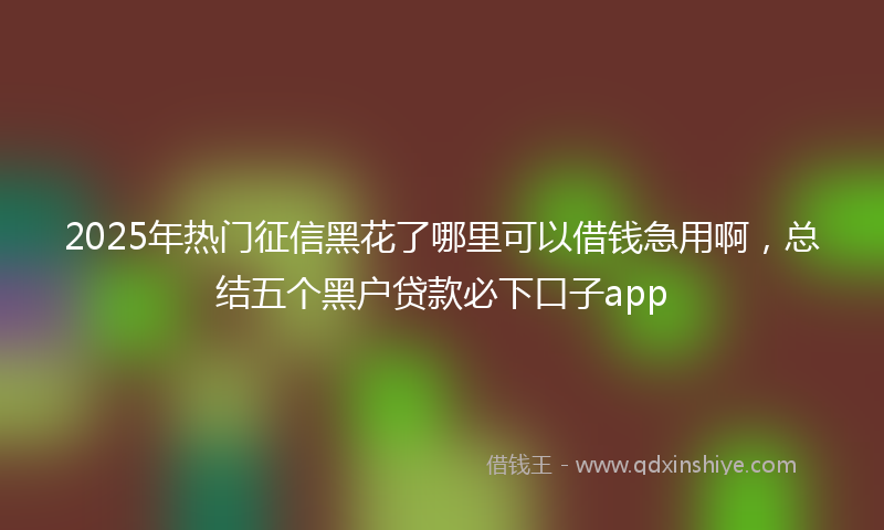 2025年热门征信黑花了哪里可以借钱急用啊，总结五个黑户贷款必下口子app