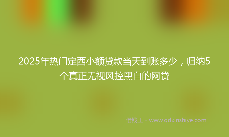 2025年热门定西小额贷款当天到账多少，归纳5个真正无视风控黑白的网贷