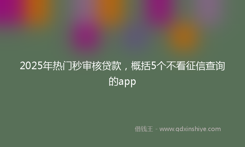 2025年热门秒审核贷款，概括5个不看征信查询的app