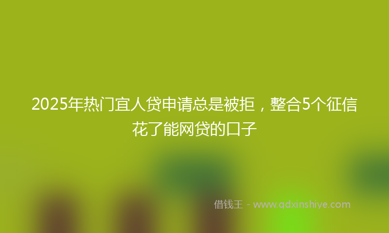 2025年热门宜人贷申请总是被拒，整合5个征信花了能网贷的口子