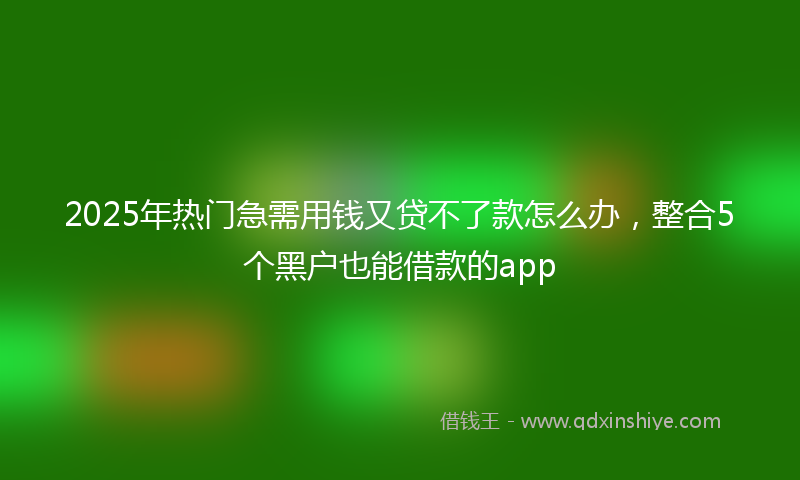 2025年热门急需用钱又贷不了款怎么办，整合5个黑户也能借款的app