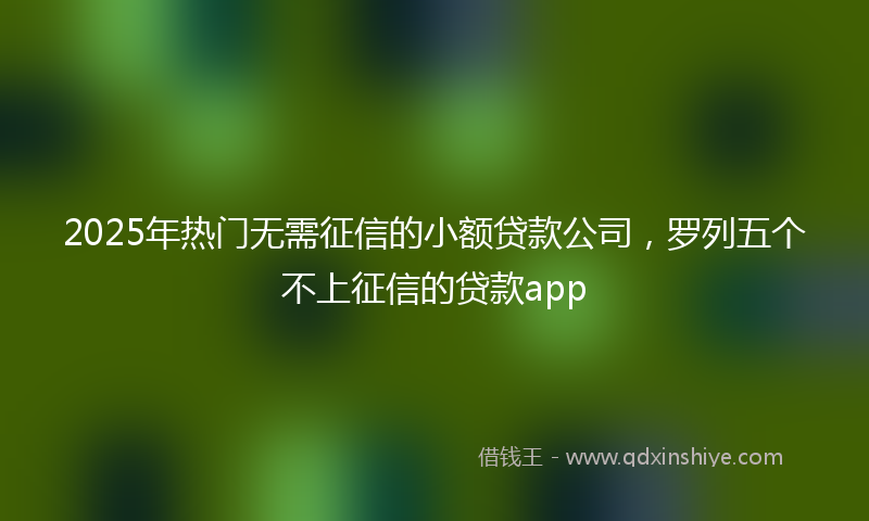 2025年热门无需征信的小额贷款公司，罗列五个不上征信的贷款app