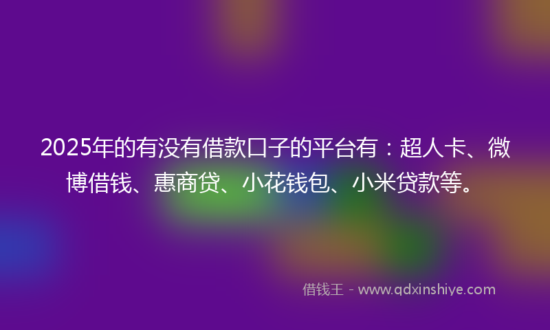 2025年的有没有借款口子的平台有：超人卡、微博借钱、惠商贷、小花钱包、小米贷款等。