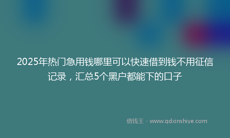 2025年热门急用钱哪里可以快速借到钱不用征信记录，汇总5个黑户都能下的口子