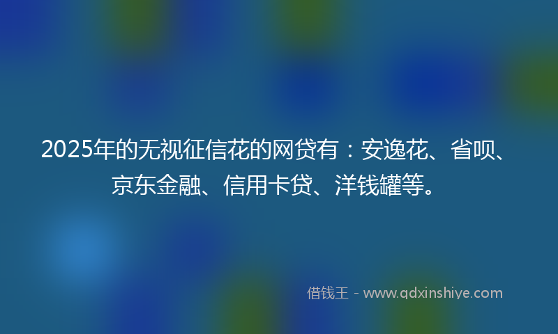 2025年的无视征信花的网贷有：安逸花、省呗、京东金融、信用卡贷、洋钱罐等。
