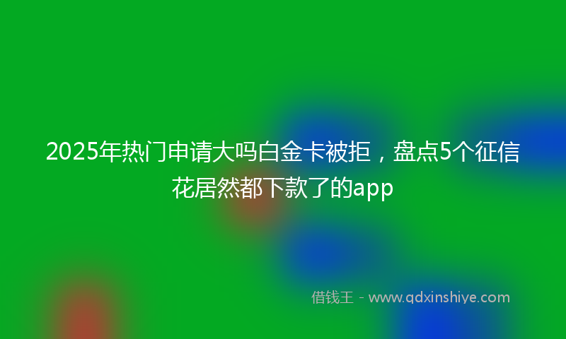 2025年热门申请大吗白金卡被拒，盘点5个征信花居然都下款了的app