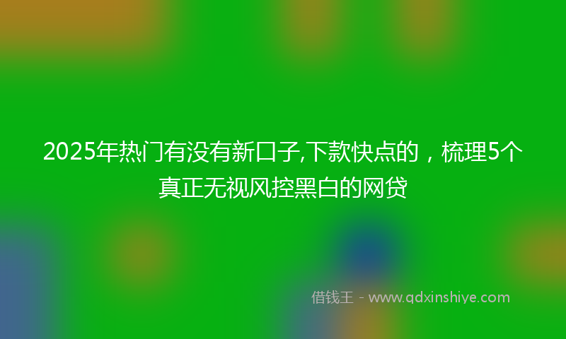 2025年热门有没有新口子,下款快点的，梳理5个真正无视风控黑白的网贷