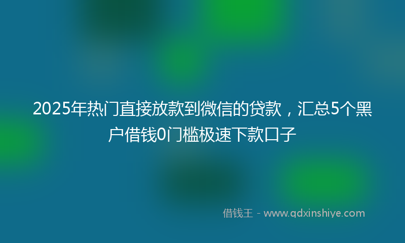 2025年热门直接放款到微信的贷款，汇总5个黑户借钱0门槛极速下款口子