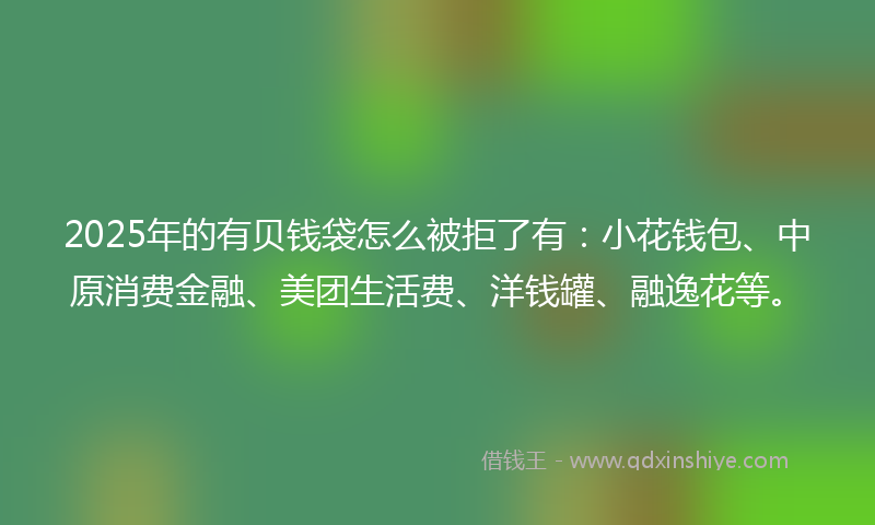 2025年的有贝钱袋怎么被拒了有：小花钱包、中原消费金融、美团生活费、洋钱罐、融逸花等。