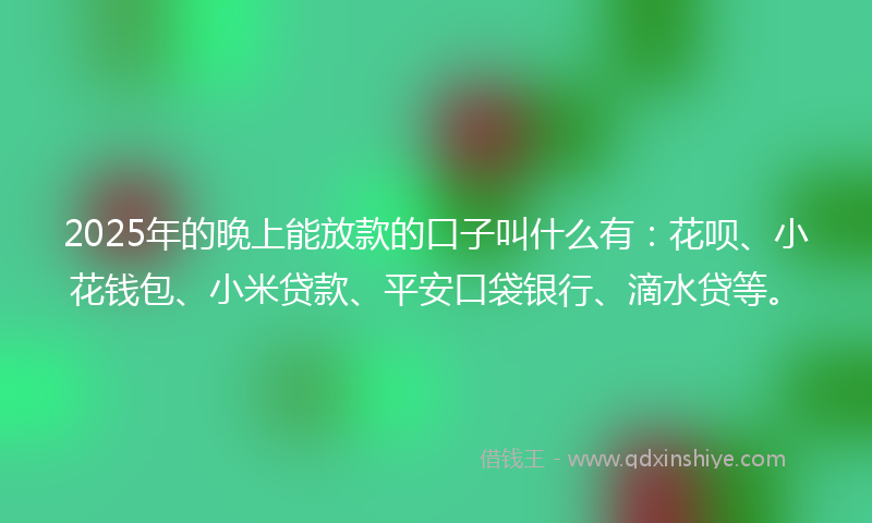 2025年的晚上能放款的口子叫什么有：花呗、小花钱包、小米贷款、平安口袋银行、滴水贷等。