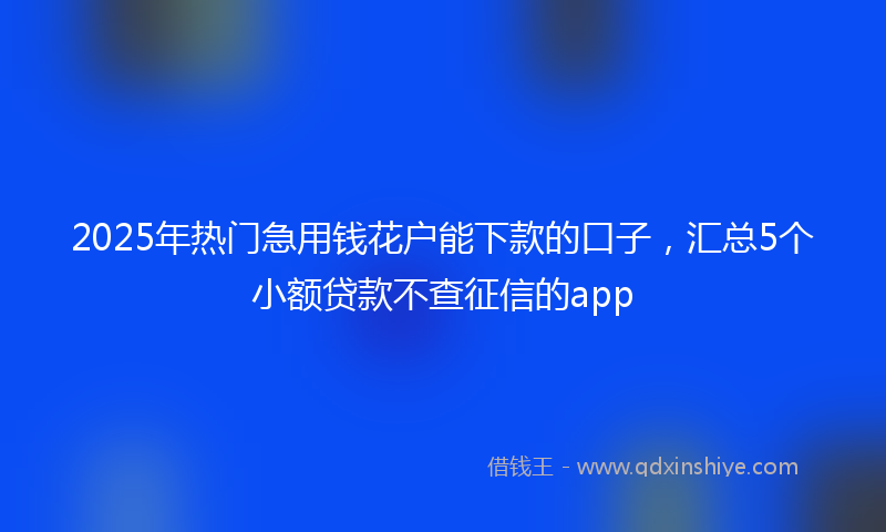 2025年热门急用钱花户能下款的口子，汇总5个小额贷款不查征信的app