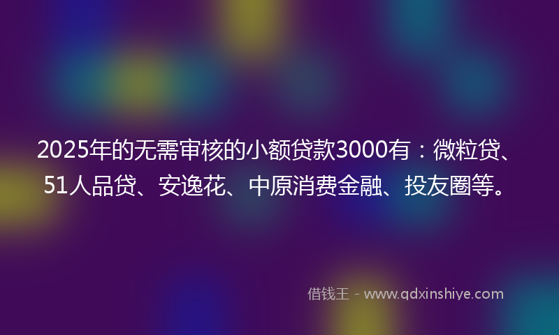 2025年的无需审核的小额贷款3000有：微粒贷、51人品贷、安逸花、中原消费金融、投友圈等。