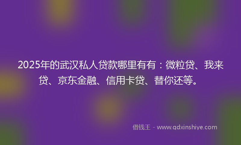 2025年的武汉私人贷款哪里有有：微粒贷、我来贷、京东金融、信用卡贷、替你还等。