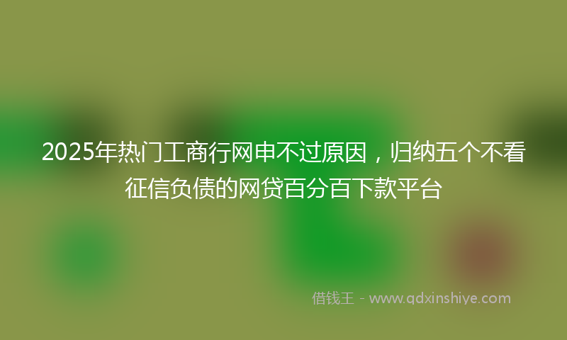 2025年热门工商行网申不过原因，归纳五个不看征信负债的网贷百分百下款平台
