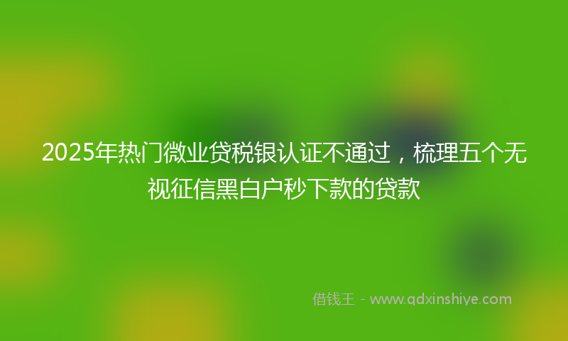 2025年热门微业贷税银认证不通过，梳理五个无视征信黑白户秒下款的贷款