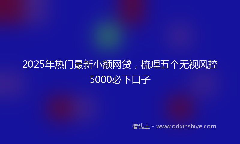 2025年热门最新小额网贷，梳理五个无视风控5000必下口子