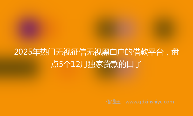 2025年热门无视征信无视黑白户的借款平台，盘点5个12月独家贷款的口子