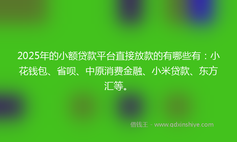 2025年的小额贷款平台直接放款的有哪些有：小花钱包、省呗、中原消费金融、小米贷款、东方汇等。