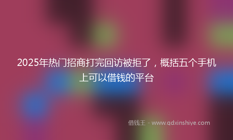 2025年热门招商打完回访被拒了，概括五个手机上可以借钱的平台
