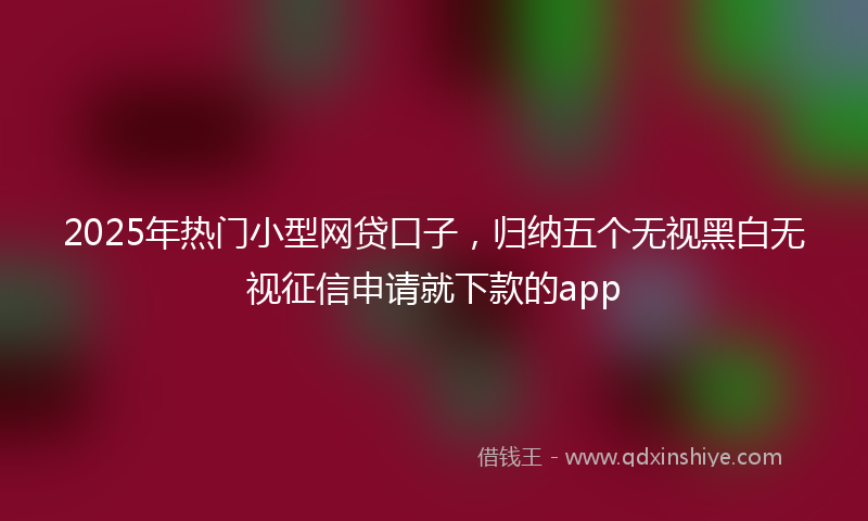 2025年热门小型网贷口子，归纳五个无视黑白无视征信申请就下款的app